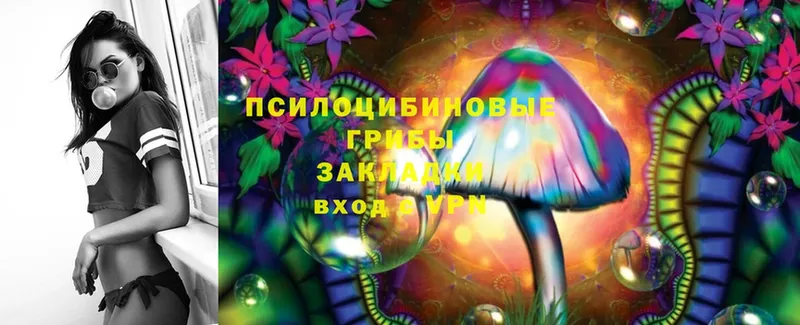 Псилоцибиновые грибы MAGIC MUSHROOMS  Люберцы 